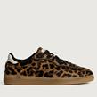 Hoff - Sneakers - Alley Leopard - Photo