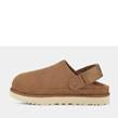 UGG Australia - Sabot - Goldenstar Clog Chestnut - Photo