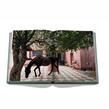 Assouline - Livre - Punta Del Este - Photo