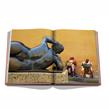 Assouline - Livre - Cartagena Grace - Photo