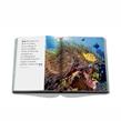 Assouline - Livre -  Red Sea: The Saudi Coast - Photo