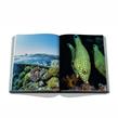Assouline - Livre -  Red Sea: The Saudi Coast - Photo