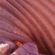 Mes Demoiselles Paris - Pull - Mount Deak Rose - Photo