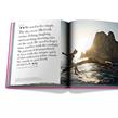 Assouline - Livre - Ibiza Bohemia - Photo