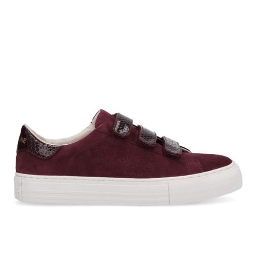 No Name - Sneakers - Arcade Straps Perfo Burgundy - Photo 1