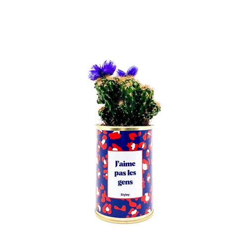 Styley - Cactus - J'aime Pas Les Gens - Photo 1