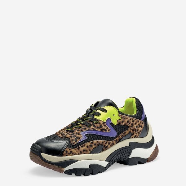 ash leopard sneakers