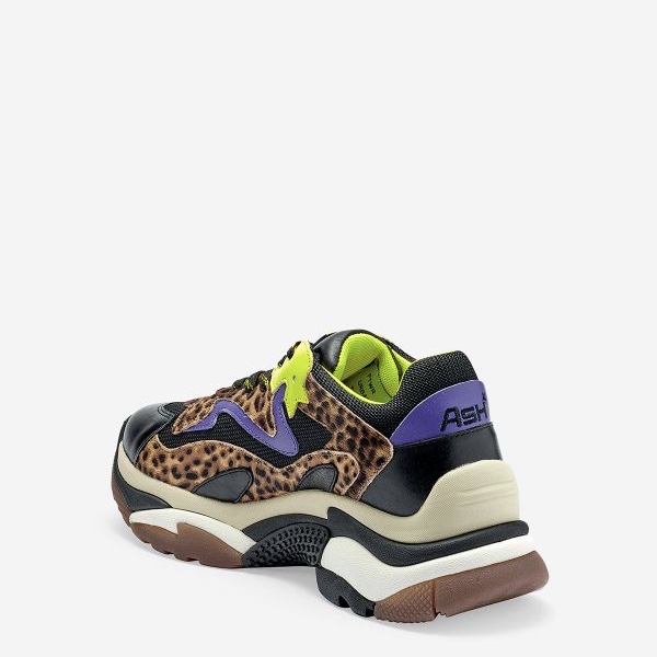 ash leopard sneakers