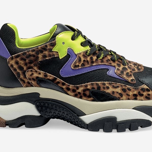 ash leopard sneakers